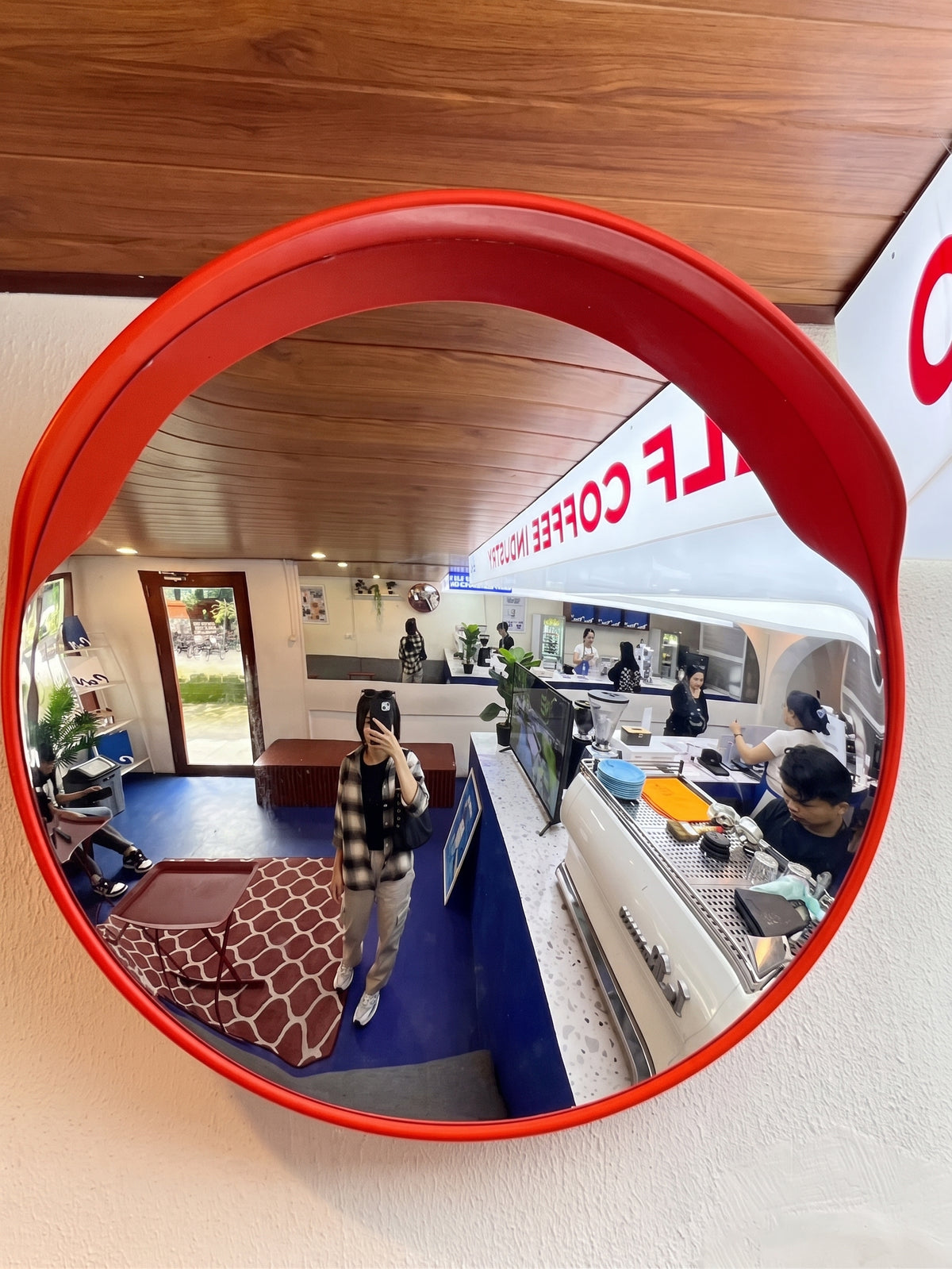 Garage Convex Mirror