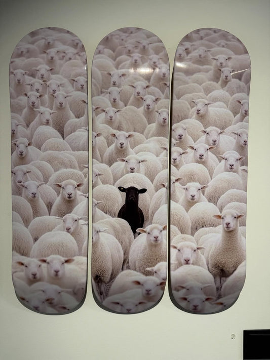 BLACK SHEEP