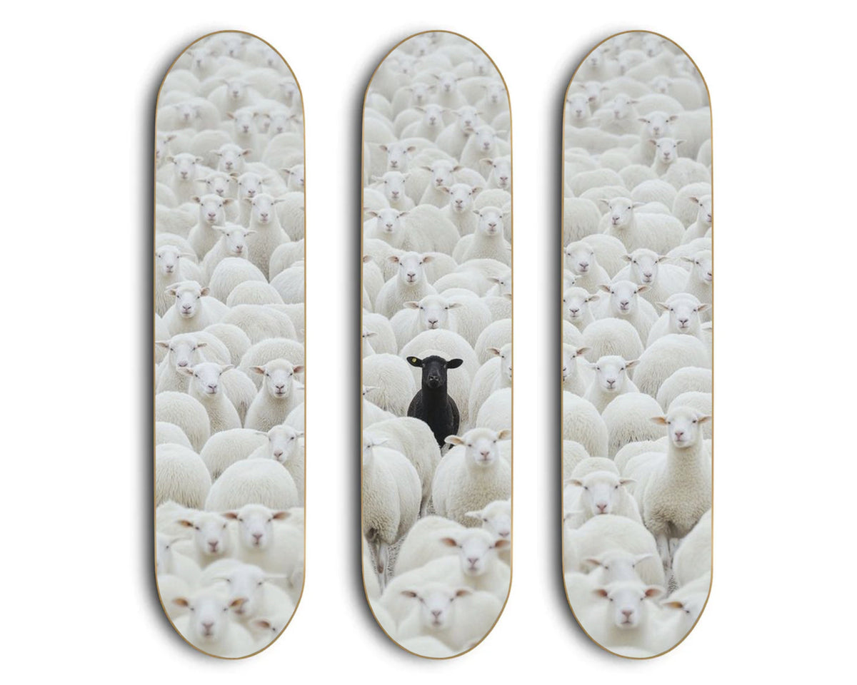 BLACK SHEEP