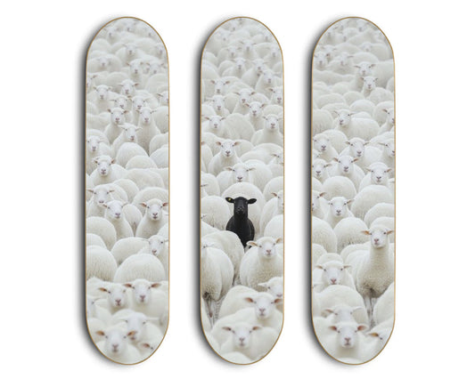 BLACK SHEEP